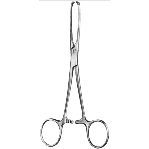 Allis Tissue Forcep 4X5 6"