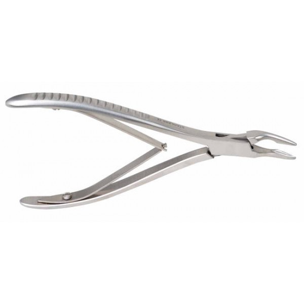 Freidman Ronguer 6.5"