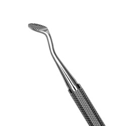 Bone File #12 - Tamsco