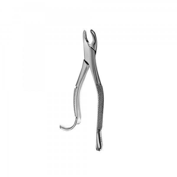 Dental Forcep #18R
