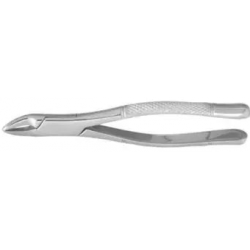 Dental Forcep #101 - Tamsco