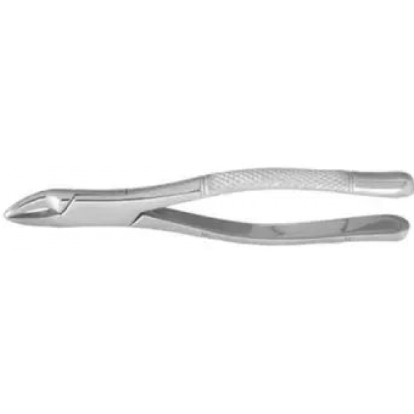 Dental Forcep #101