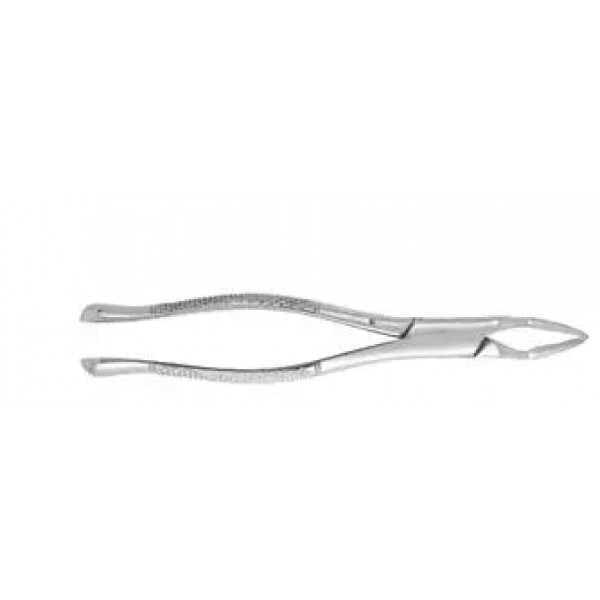 Dental Forcep #32A