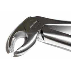 A Dental Forcep English #22 - Tamsco