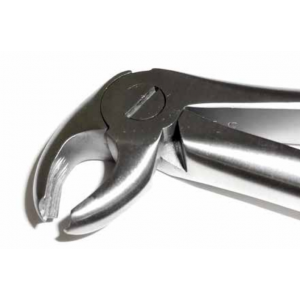 A Dental Forcep English #22