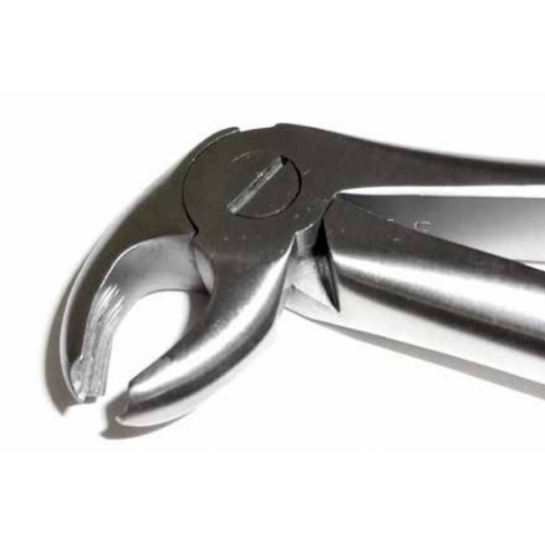 A Dental Forcep English #22