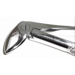 B Dental Forcep English 22A - Tamsco