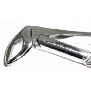 B Dental Forcep English 22A