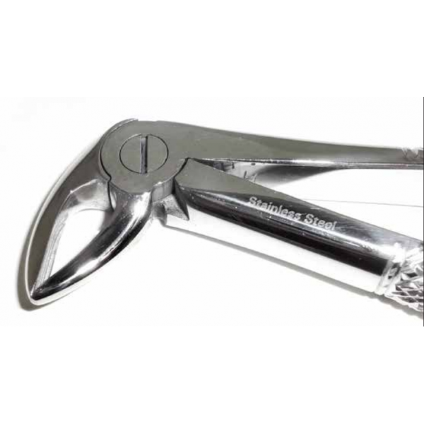 B Dental Forcep English 22A