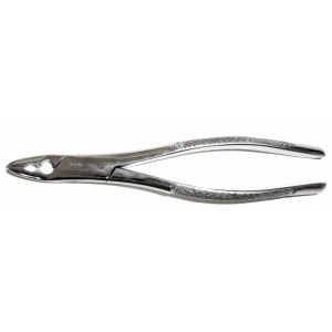 Dental Forcep #150AS