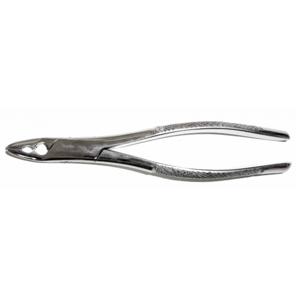 Dental Forcep #150AS