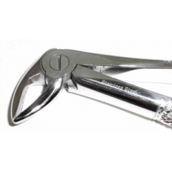 Dental Forcep #33 - Tamsco