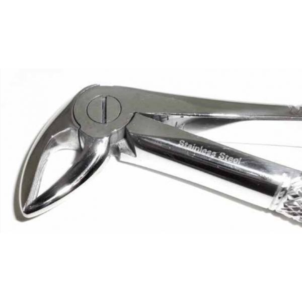 Dental Forcep #33
