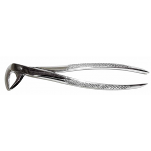 Dental Forcep #74N
