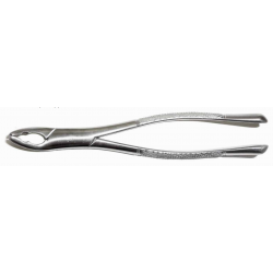 Dental Forcep #151AS - Tamsco