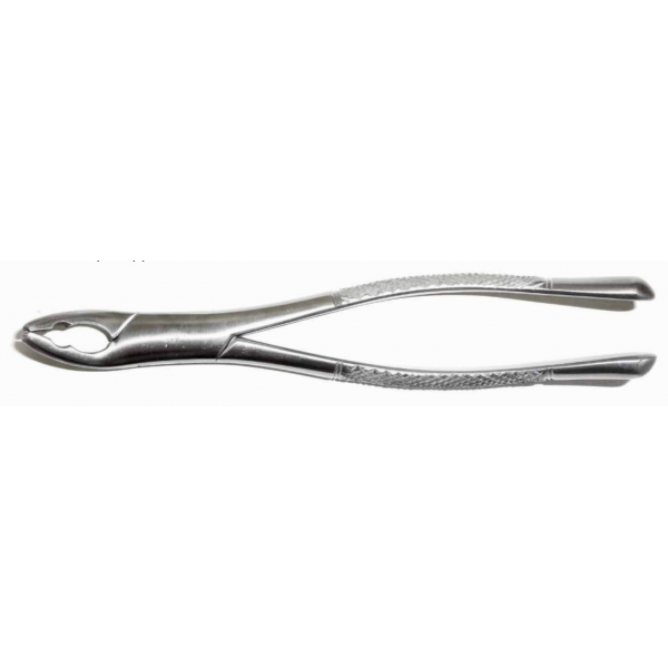 Dental Forcep #151AS
