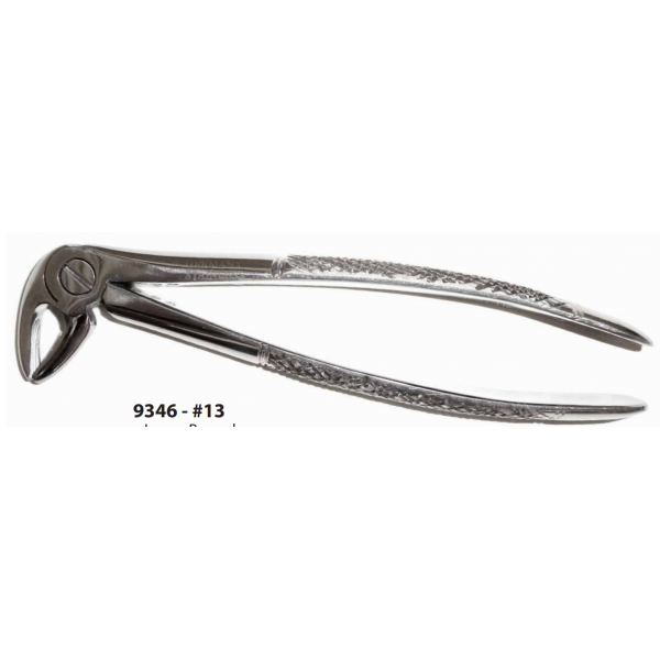 Dental Forcep #13