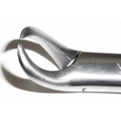 Dental Pediatric Forcep #23s - Tamsco