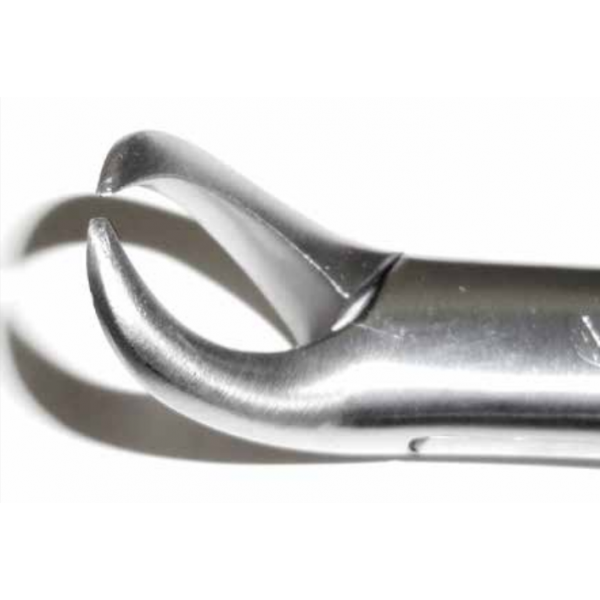 Dental Pediatric Forcep #23s