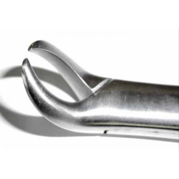 Dental Pediatric Forcep 16s