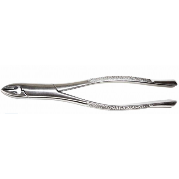 Dental Forcep #1