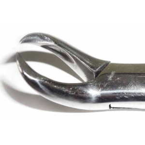Dental Forcep #3F