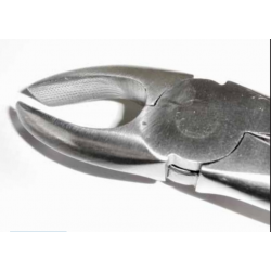 Dental Fopcep #MD2 - Tamsco