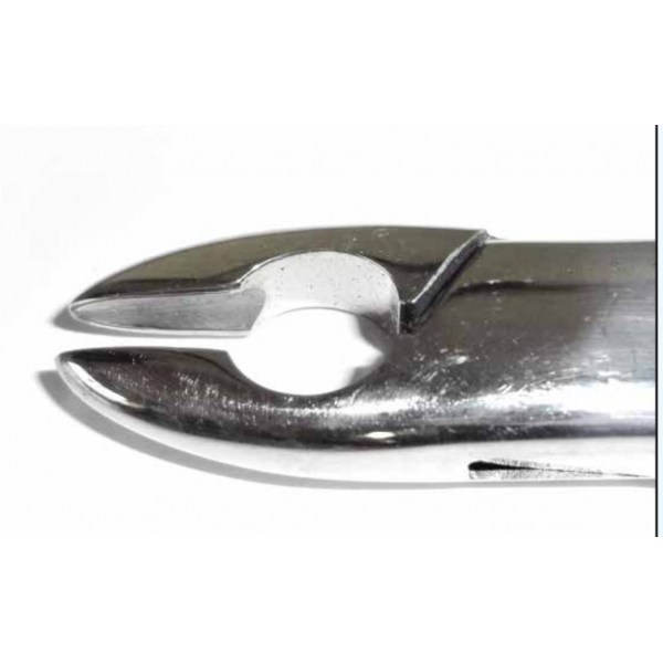 Dental Forcep #N10S