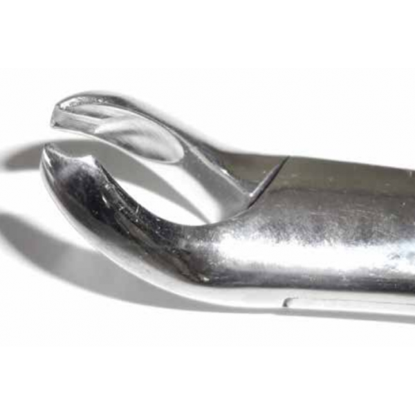 Dental Forcep #15