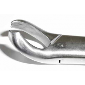 Dental Forcep #17