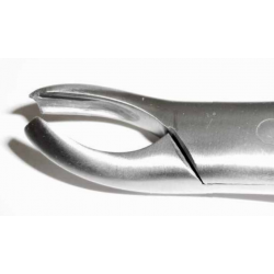 Dental Forcep #18L - Tamsco