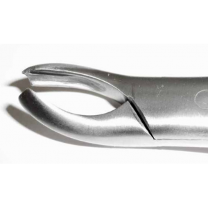 Dental Forcep #18L