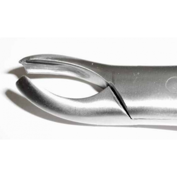 Dental Forcep #18L