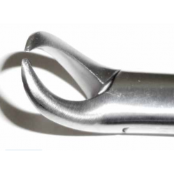 Dental Forcep #23 - Tamsco