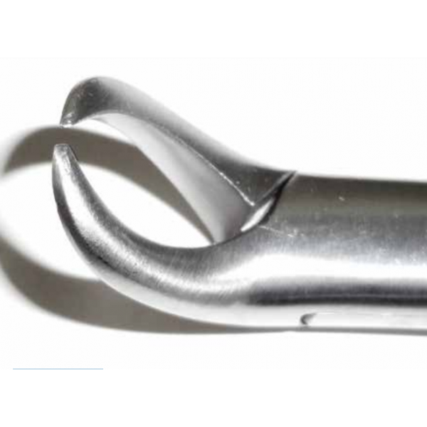 Dental Forcep #23