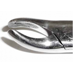 Dental Forcep #24 - Tamsco