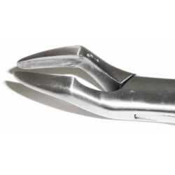 Dental Forcep #32 - Tamsco