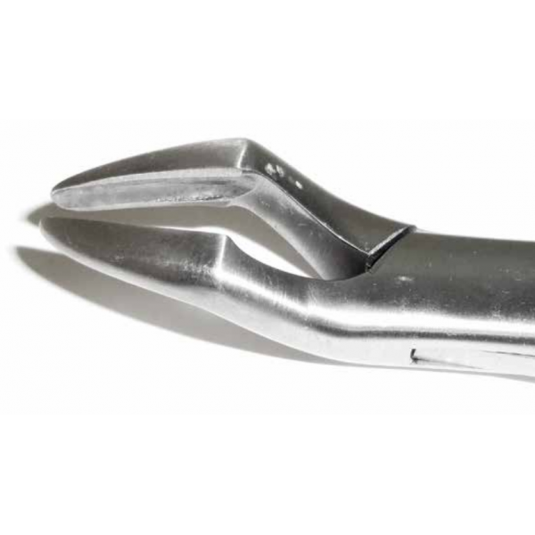 Dental Forcep #32