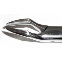 Dental Forcep #32A - Tamsco