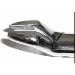 Dental Forcep #53L - Tamsco