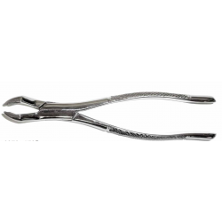 Dental Forcep #53R - Tamsco