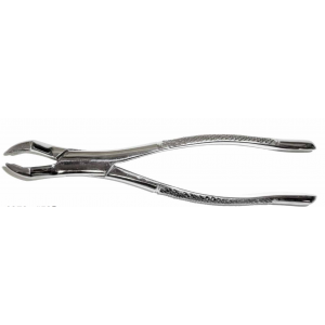 Dental Forcep #53R