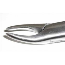 Dental Forcep #69 - Tamsco