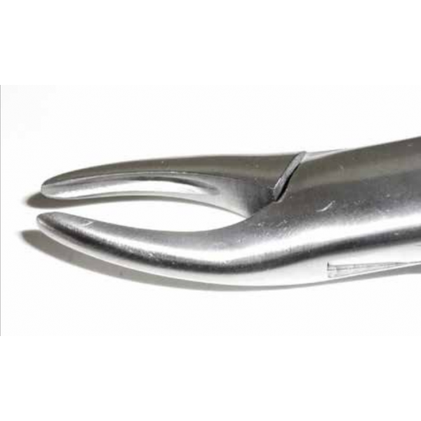 Dental Forcep #69