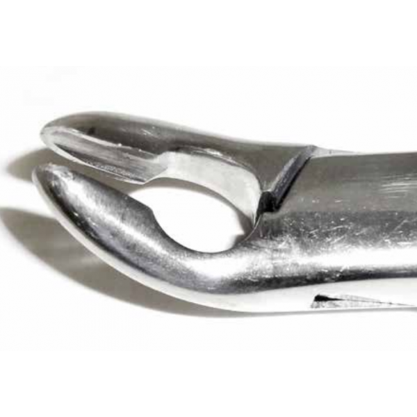 Dental Forcep #85