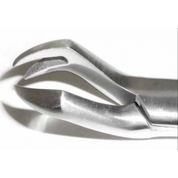 Dental Forcep #88L - Tamsco