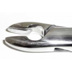 Dental Forcep #99C - Tamsco