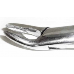 Dental Forcep #150A - Tamsco