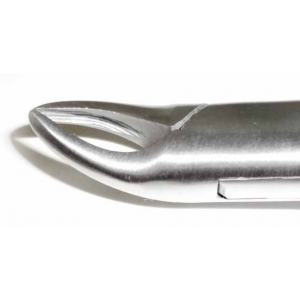 Dental Forcep #150s