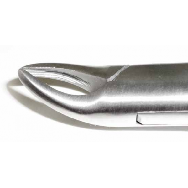 Dental Forcep #150s